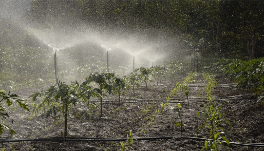 Irrigation Installation Kelowna