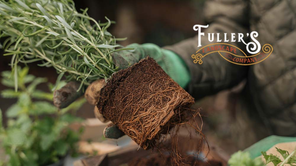 fullers landscaping spring booking