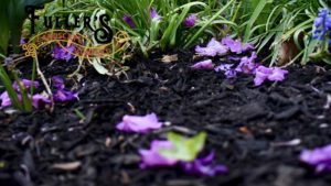 Landscaping Companies Near Me: Best Mulching Practices