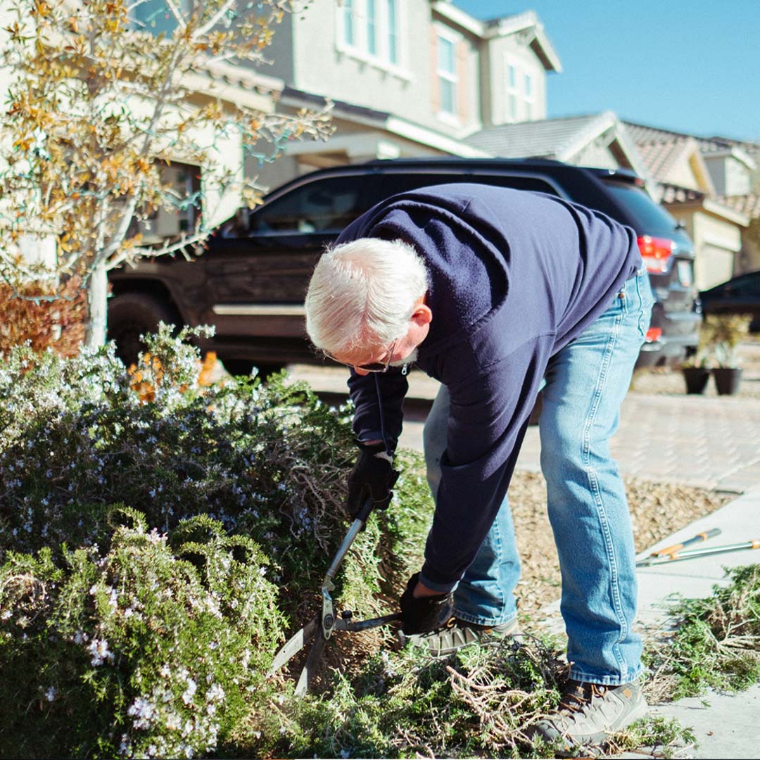 You are currently viewing Best Landscapers Kelowna Chat DIY Vs. Professional Projects