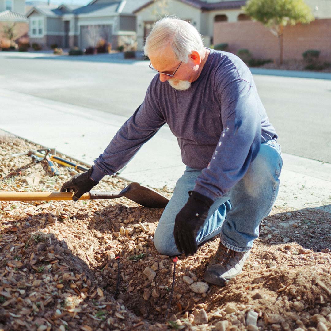 landscaping in kelowna hiring a pro vs doing it yourself