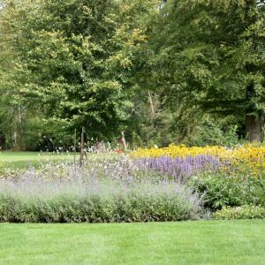 Read more about the article Budgeting for Kelowna Yard Maintenance