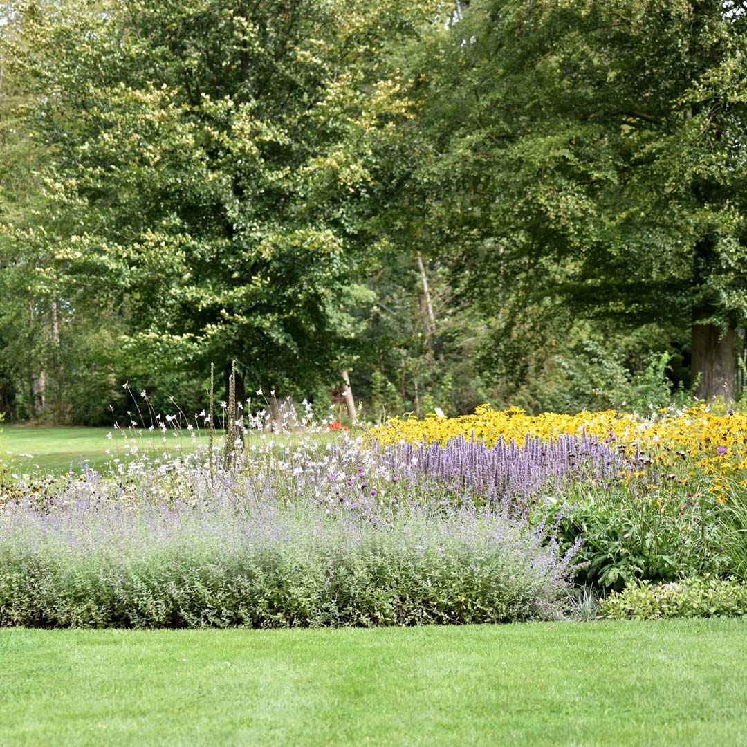 You are currently viewing Budgeting for Kelowna Yard Maintenance