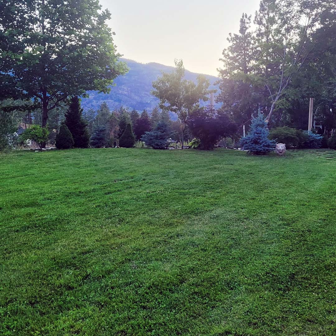 The 411 on Lawn Care