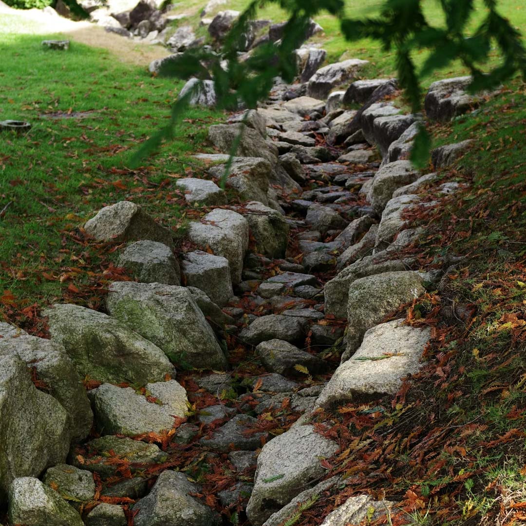 Landscape Drainage Contractors Near Me