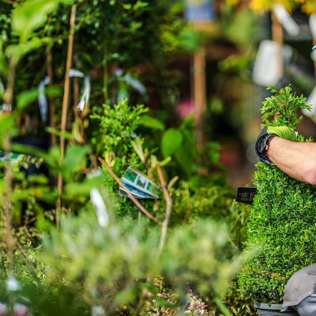 landscaping project company in kelowna