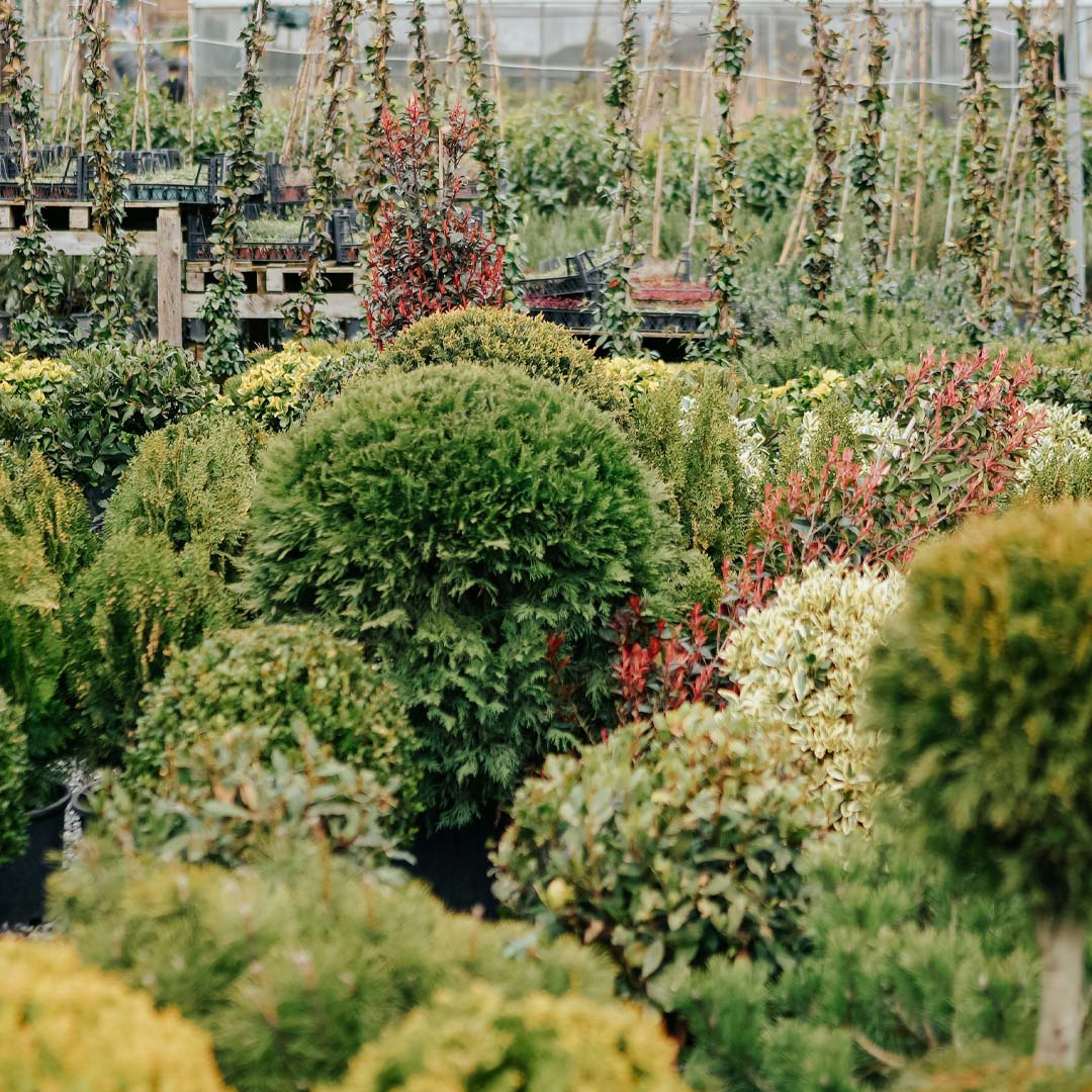 You are currently viewing How Much Does Landscaping Cost in Kelowna? A Homeowner’s Breakdown