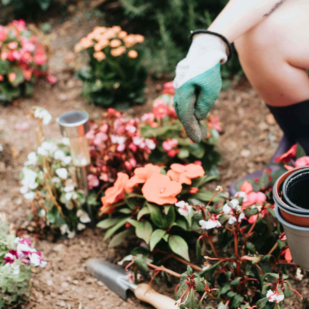 Low-Maintenance Landscaping Ideas