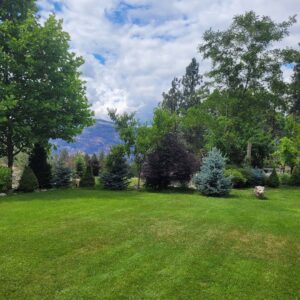 Read more about the article How to Keep Your Landscape Looking Great During an Okanagan Summer