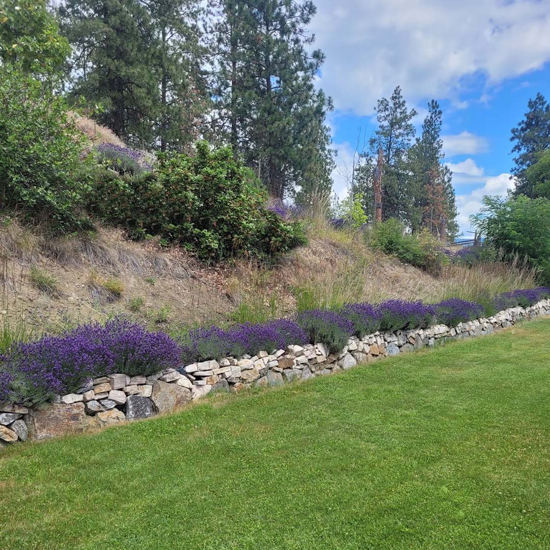 summer plant and lawn maintenance in kelowna